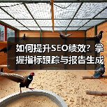 如何提升SEO绩效？掌握指标跟踪与报告生成的实战技巧 - 推荐阅读文章