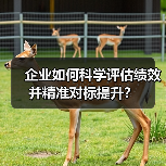 企业如何科学评估绩效并精准对标提升?(图2) 企业如何科学评估绩效并精准对标提升?(图2)