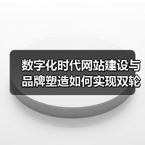 数字化时代网站建设与品牌塑造如何实现双轮驱动？（图2）