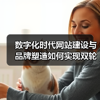 数字化时代网站建设与品牌塑造如何实现双轮驱动？（图3）