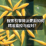 搜索引擎算法更新如何精准监控与应对?(图3) 搜索引擎算法更新如何精准监控与应对?(图3)