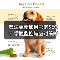 算法更新如何影响SEO?掌握监控与应对策略全指南(图4) 算法更新如何影响SEO?掌握监控与应对策略全指南(图4)