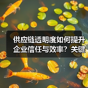 供应链透明度如何提升企业信任与效率？关键策略解析 - 推荐阅读文章