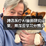腾讯医疗AI最新研究成果，用深度学习分割头颈组织区域助力靶向 - 推荐阅读文章
