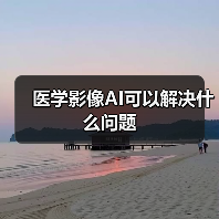 医学影像AI可以解决什么问题(图4) 医学影像AI可以解决什么问题(图4)