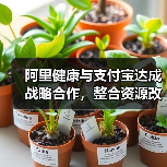 阿里健康与支付宝达成战略合作，整合资源改造线下医疗机构（图4）