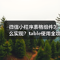 微信小程序表格组件怎么实现?table使用全攻略(图3) 微信小程序表格组件怎么实现?table使用全攻略(图3)