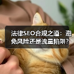 法律SEO合规之道:避免风险还是流量陷阱?(图4) 法律SEO合规之道:避免风险还是流量陷阱?(图4)