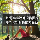 如何精准计算投资回报率?ROI分析助力企业价值最大化(图4) 如何精准计算投资回报率?ROI分析助力企业价值最大化(图4)