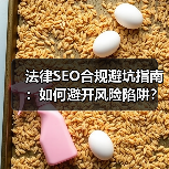 法律SEO合规避坑指南:如何避开风险陷阱?(图4) 法律SEO合规避坑指南:如何避开风险陷阱?(图4)