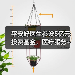 平安好医生参设5亿元投资基金，医疗服务+保险+资本铺路好不好走？（图2）