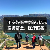 平安好医生参设5亿元投资基金，医疗服务+保险+资本铺路好不好走？（图3）
