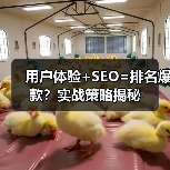 用户体验+SEO=排名爆款？实战策略揭秘 - 推荐阅读文章