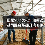 视频SEO优化:如何通过策略变革提升内容曝光?(图2) 视频SEO优化:如何通过策略变革提升内容曝光?(图2)