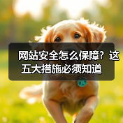 网站安全怎么保障？这五大措施必须知道（图2）