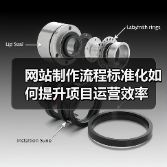 网站制作流程标准化如何提升项目运营效率（图2）