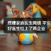 搭建家庭医生网络 平安好医生拉上了两企业(图4) 搭建家庭医生网络 平安好医生拉上了两企业(图4)