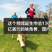 这个领域诞生市值130亿美元的独角兽，国内刚刚起步，腾讯也在跟进（图3）