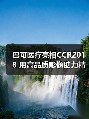 巴可医疗亮相CCR2018 用高品质影像助力精准医疗(图3) 巴可医疗亮相CCR2018 用高品质影像助力精准医疗(图3)