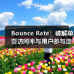 Bounce Rate：破解单页访问率与用户参与度的秘密（图4）