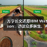 万字长文还原IBM Watson:访谈众多医生、AI专家、相关企业(图1) 万字长文还原IBM Watson:访谈众多医生、AI专家、相关企业(图1)
