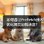 如何通过Prefetch技术优化网页加载速度?(图3) 如何通过Prefetch技术优化网页加载速度?(图3)