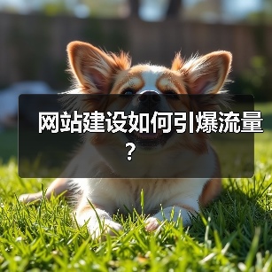网站建设如何引爆流量？（图4）