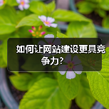 如何让网站建设更具竞争力？（图4）