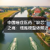 中国癌症医药“缺芯”之痛：细胞模型依赖进口（图2）