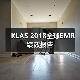 KLAS 2018全球EMR绩效报告(图4) KLAS 2018全球EMR绩效报告(图4)