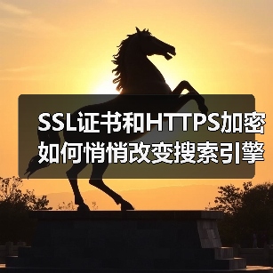 SSL证书和HTTPS加密如何悄悄改变搜索引擎排名?(图2) SSL证书和HTTPS加密如何悄悄改变搜索引擎排名?(图2)