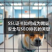SSL证书如何成为网站安全与SEO排名的关键?(图3) SSL证书如何成为网站安全与SEO排名的关键?(图3)