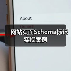 网站页面Schema标记实操案例（图4）