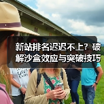 新站排名迟迟不上?破解沙盒效应与突破技巧全解析(图2) 新站排名迟迟不上?破解沙盒效应与突破技巧全解析(图2)