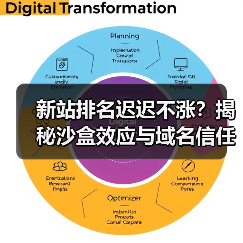 新站排名迟迟不涨?揭秘沙盒效应与域名信任的真相(图2) 新站排名迟迟不涨?揭秘沙盒效应与域名信任的真相(图2)