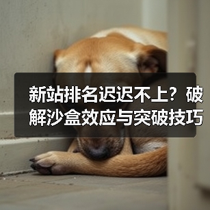 新站排名迟迟不上?破解沙盒效应与突破技巧全解析(图3) 新站排名迟迟不上?破解沙盒效应与突破技巧全解析(图3)
