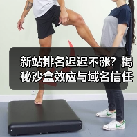新站排名迟迟不涨?揭秘沙盒效应与域名信任的真相(图4) 新站排名迟迟不涨?揭秘沙盒效应与域名信任的真相(图4)