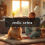 redis setex(图2) redis setex(图2)