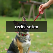 redis setex(图3) redis setex(图3)