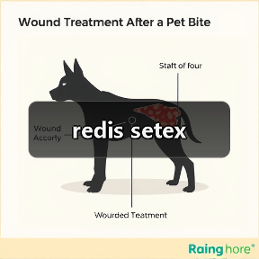 redis setex(图4) redis setex(图4)