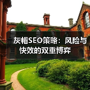 灰帽SEO策略:风险与快效的双重博弈(图2) 灰帽SEO策略:风险与快效的双重博弈(图2)