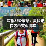 灰帽SEO策略:风险与快效的双重博弈(图3) 灰帽SEO策略:风险与快效的双重博弈(图3)