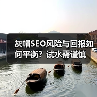 灰帽SEO风险与回报如何平衡?试水需谨慎(图2) 灰帽SEO风险与回报如何平衡?试水需谨慎(图2)