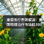 康复医疗市场解读：美国物理治疗市场超300亿美元，社区诊所为主要模式（图1）