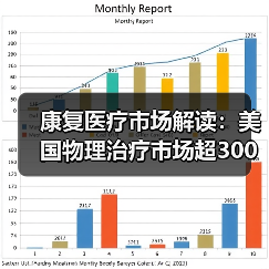 康复医疗市场解读：美国物理治疗市场超300亿美元，社区诊所为 - 推荐阅读文章