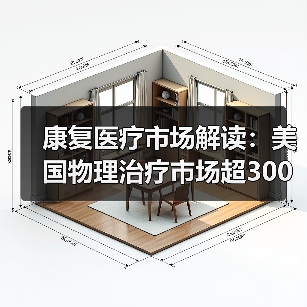 康复医疗市场解读：美国物理治疗市场超300亿美元，社区诊所为主要模式（图3）