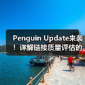Penguin Update来袭！详解链接质量评估的关键方法与实战指南（图4）