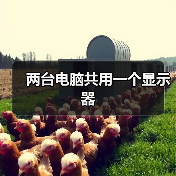 两台电脑共用一个显示器（图3）