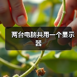 两台电脑共用一个显示器（图4）