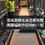 高端品牌化会是拯救我国高端医疗机构的一剂良药吗?(图1) 高端品牌化会是拯救我国高端医疗机构的一剂良药吗?(图1)